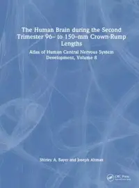 在飛比找博客來優惠-The Human Brain During the Sec
