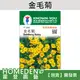 【台灣現貨】金毛菊 F-280 花卉種子 農友牌 小包裝種子 約40粒/包【HOMEDEN霍登園藝】