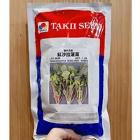 在飛比找蝦皮購物優惠-城禾農產🍃 日本紅沙拉菠菜種子 2.5克約150粒 紅沙拉菠