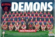 Melbourne demons TEAM POSTER,AFL FOOTBALL PREMIERS ,SWANS, book, Geelong cats,
