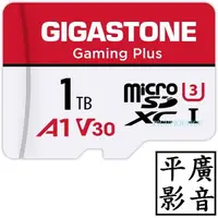 在飛比找蝦皮購物優惠-平廣 公司貨 GIGASTONE MICRO SD 1TB 