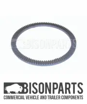 "FITS RENAULT KERAX (1997 - 2013) REAR AXLE ABS EXCITER RING 100 TOOTH BP110-124