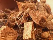 Clean Coconut Husk fiber, Chips, Bites Orchids flowers,anthurium (Sri lankan)