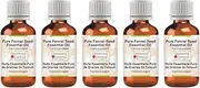 Greenwood Essential Pure Fennel Seed Essential Oil (Foeniculum vulgare) 100% Natural Therapeutic Grade Steam Distilled for Personal Care (Pack of Five) 100ml X 5 (16.9oz)