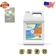 Liquid Pond Detoxifier 1-Gallon - Supports Healthy Ecosystem & Fish Growth