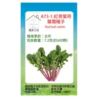 在飛比找PChome24h購物優惠-A73-1.紅骨葉用蘿蔔種子7.2克(約600顆)