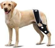 Dog Leg Support - for Leg Wounds After Surgery for Ligament tears, with Suppo...