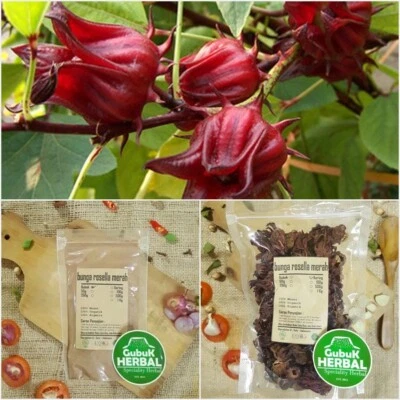 Dried and Powder ROSELLA MERAH Hibiscus Sabdariffa ORGANIC