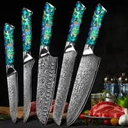 Damascus Chef's Knife Damascus Steel Santoku Nakiri Knife Abalone Shell Handle