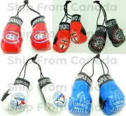 High Quality Canadian Teams MINI BOXING GLOVES - Rear View Mirror Gloves - New