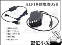 在飛比找Yahoo!奇摩拍賣優惠-數位小兔【Panasonic BLF19 USB 假電池】行