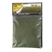 Woodland Scenics Model Railroad Static Grass Field System Dark Green 1/8"