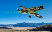 WW2 P-40 Warhawk Huge 94" WS R/C Airplane Laser Cut Balsa Ply Short Kit W/ Plans