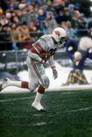 Terry Metcalf St Louis Cardinals returns a kickoff v the Minnesot- 1974 Photo 3