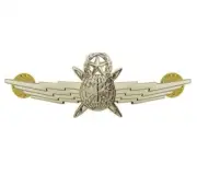 Vanguard AIR FORCE BADGE: MASTER CYBERSPACE OPERATOR: REGULATION SIZE - MIRROR