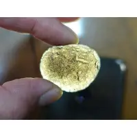 在飛比找蝦皮購物優惠-§能量礦石§ 哥倫比亞隕石 Columbianite 火山玻