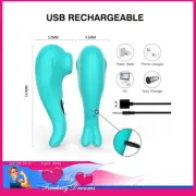 Winyi - Joyce 14cm Clitoris & Nipple Suction Nubs Air Wave Usb 10 Speeds Silicon