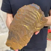 7.9lb Natural Tiger Eye Stone Quartz Crystal Polished Specimen healing