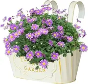 Railing Flower Boxes Outdoor,Metal Hangable Deck Planter | Countryside Window Flower Boxes for Garden Yard, Home Decoration Plant Pots