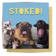 La La Land Greeting Card - Stoked Dogs