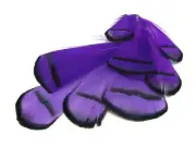 1 Dozen Purple Lady Amherst Pheasant Tippet Feathers Jewelry Accessories Craft
