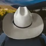Bailey August 3x 7 1/2 Beige Wool Western Hat