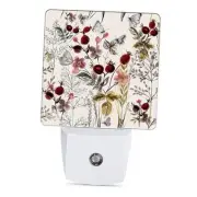 Night Light, Butterfly Plug into Wall with Dusk to Dawn Light Vintage Flower