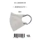 【盛籐】成人3D立體醫療口罩 莫蘭迪-樺木 10片/包