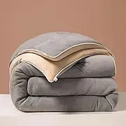 Thickened Milk Velvet Quilt, Soft Fluffy Plush Comforters, Double Faced Milk Velvet Comforter Core, Twin/Double Thickened Warm Down Duvet Bedding for All Season (A 220x240cm(5.5kg))
