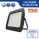 【舞光.LED】LED 300W阿波羅單電壓泛光燈(白光)【實體門市保固一年】OD-FLDB300D/2