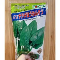 在飛比找蝦皮購物優惠-原包裝 1磅 日本新沙拉菠菜種子 沙拉菠菜種子 沙拉波菜種子