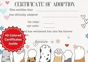 Cat/ Kitten Adoption Certificate Book: For Shelters and Pet Adoption Centers: 8.5x 6 Inch, 40 fully colored certificates