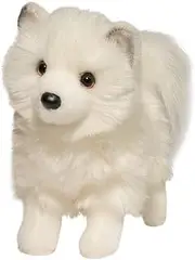 Douglas Phoebe Pomsky