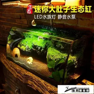 烏龜缸 小魚缸生態桌面魚缸水族箱迷你客廳大小型創意魚缸辦公室mini水族箱 酷男