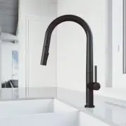VIGO Greenwich Single Handle Pull-Down Sprayer Kitchen Faucet in Matte Black