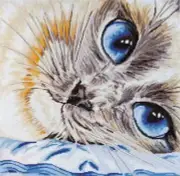 Cross stitch kit - Sapphire look 40x39,5cm White Aida 14ct needlepoint kit