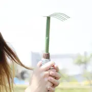 Weeds Puller 5 Teeths Long Handle Leaf Rake for Backyard Gardening Vegetable