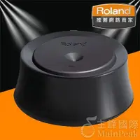 在飛比找iOPEN Mall優惠-【公司貨】Roland NE-1 NE1 吃音墊 消音墊 H