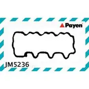 Payen Rocker Cover Gasket - JM5236