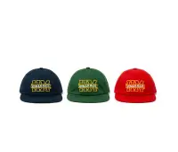 在飛比找Yahoo!奇摩拍賣優惠-HUMAN MADE 5 PANEL TWILL CAP #