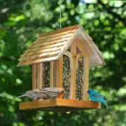 Wooden Birdhouse Feeder Chapel Style Religious Wood and Glass Finch Cardinal Jay