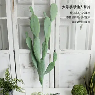 仿真手感團扇仙人掌片灰綠色ins北歐假綠植多肉造景裝飾植物擺件