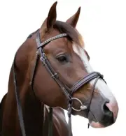 Penelope Daily Snaffle Bridle