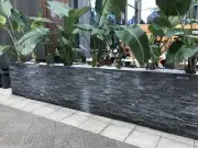 Natural Stone Rock Wall Stacked Stone Wall Cladding Black Slate Price Per Panel