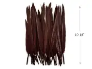 10 Pieces - Brown Goose Pointers Long Primaries Wing Feathers Costume Angel