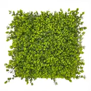 Artificial Hedge Winter Creeper 50x50cm