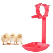 20Pcs Chicken Cup Chicken Nipple Drinker Cups Waterer Hanging Cup Drinking Wa...