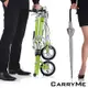 CarryMe SD 8吋充氣胎版 單速鋁合金折疊車-綠茶青