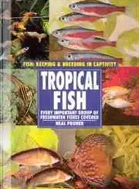 在飛比找三民網路書店優惠-Tropical Fish