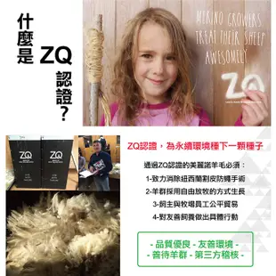 Smartwool 智慧羊毛 女機能戶外全輕量減震民族風印花中筒襪 淺灰 SW001580H85【野外營】羊毛襪